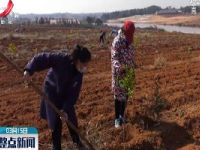 【科学战疫情 硬核促发展】江西：加大产业支持力度 扩大中药种植面积