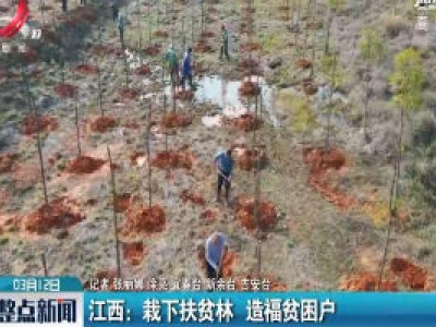 江西：栽下扶贫林 造福贫困户