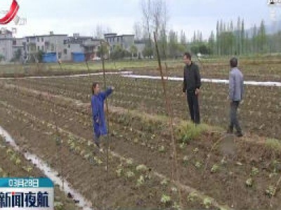 新闻夜航20200328