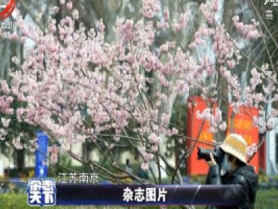 杂志天下20200318