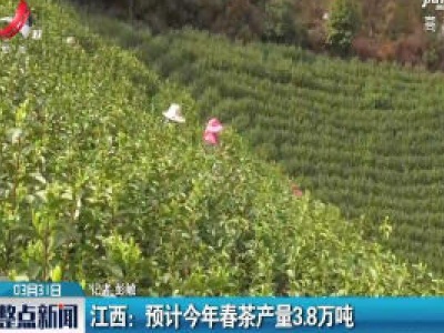 江西：预计2020年春茶产量3.8万吨