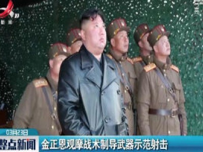 金正恩观摩战术制导武器示范射击