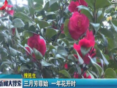 三月芳菲始 一年花开时