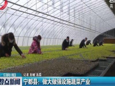 宁都县：做大做强设施蔬菜产业