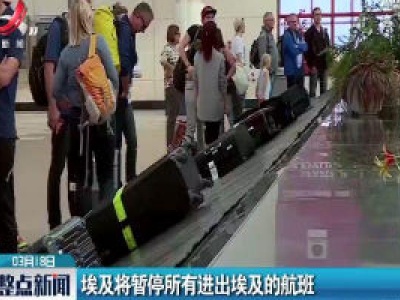埃及将暂停所有进出埃及的航班