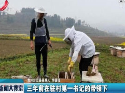 【科学战疫情 硬核促发展】春暖花开！品味养蜂人的苦与甜