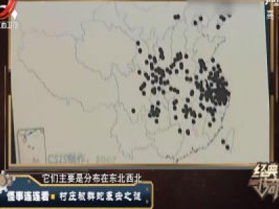 经典传奇20200319 怪事连连看——“雄性”北极狐竟然怀孕了