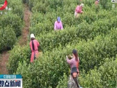 整点新闻20200322 16:00