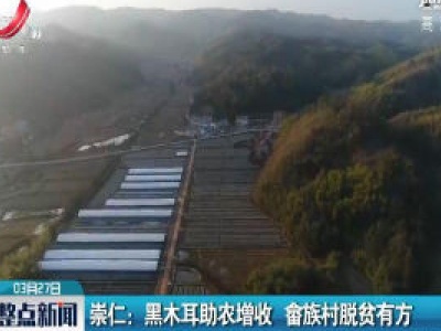崇仁：黑木耳助农增收 畲族村脱贫有方
