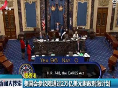 美国会参议院通过2万亿美元财政刺激计划