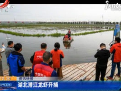 湖北潜江龙虾开捕