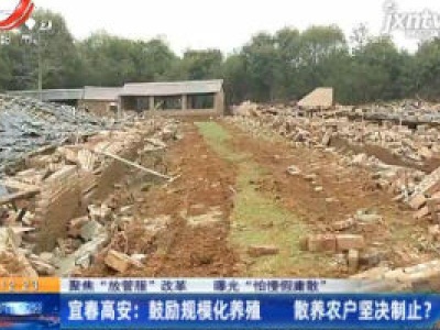 聚焦“放管服”改革 曝光“怕慢假庸散”宜春高安：扩建养猪场被拆 养殖户很不理解
