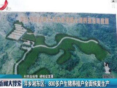 【科学战疫情 硬核促发展】萍乡湘东区：800多户生猪养殖户全面恢复生产