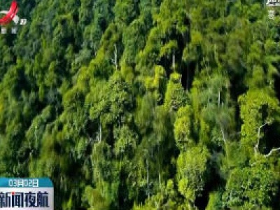 吉水警方依法查处一起森林火灾案件 