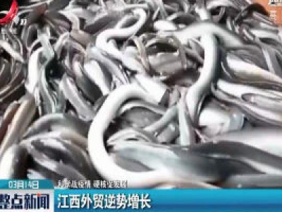 整点新闻20200314 12:00