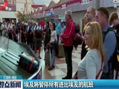 埃及将暂停所有进出埃及的航班
