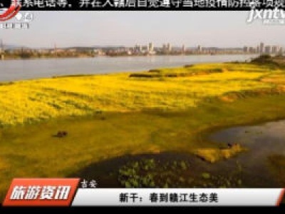 新干：春到赣江生态美