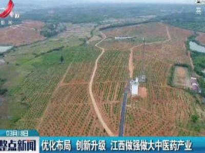 优化布局 创新升级 江西做强做大中医药产业