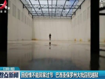 因疫情不能回家过节 巴西圣保罗州大批囚犯越狱