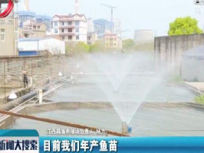 【搜民生】集装箱养鱼效率高