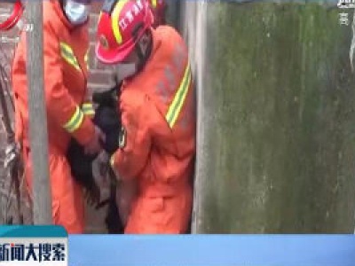 江苏：老人跌进墙缝 消防来救援