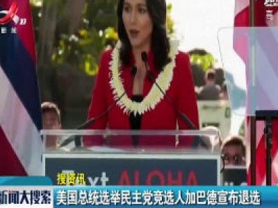 【搜资讯】美国总统选举民主党竞选人加巴德宣布退选