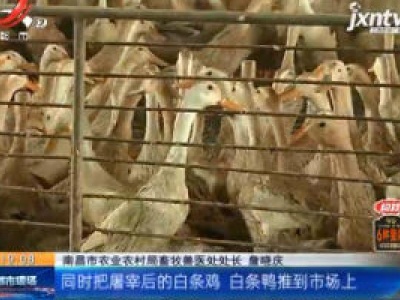 南昌：家门口的禽类生鲜 安全有保障
