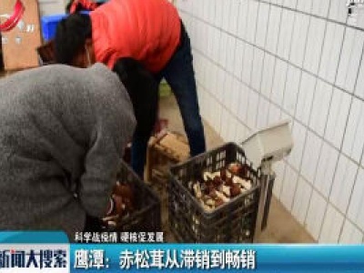 【科学战疫情 硬核促发展】鹰潭：赤松茸从滞销到畅销