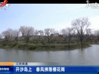 江苏南通：开沙岛上 春风拂落樱花雨