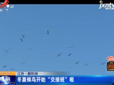 江西·鄱阳湖：冬夏候鸟开始“交接班”啦
