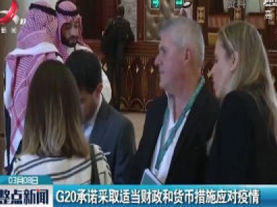 G20承诺采取适当财政和货币措施应对疫情