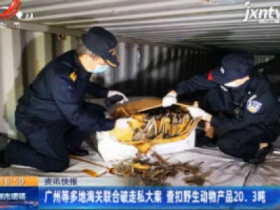 广州等多地海关联合破走私大案 查扣野生动物产品20.3吨