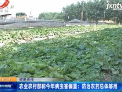 农业农村部称2020年病虫害偏重：防治农药总体够用