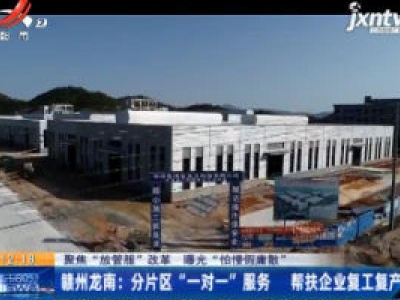 【聚焦“放管服”改革 曝光“怕慢假庸散”】赣州龙南：分片区“一对一”服务 帮扶企业复工复产