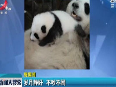 岁月静好 不吵不闹