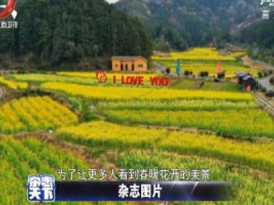杂志天下20200304