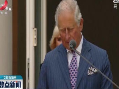 英国王储查尔斯新冠病毒检测呈阳性