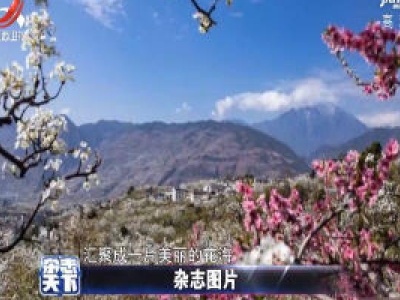 杂志天下20200324