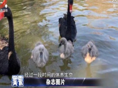 上海动物园恢复开园