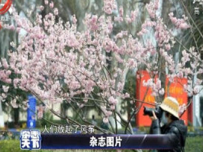 春意渐浓 多地居民走出家门享受春光