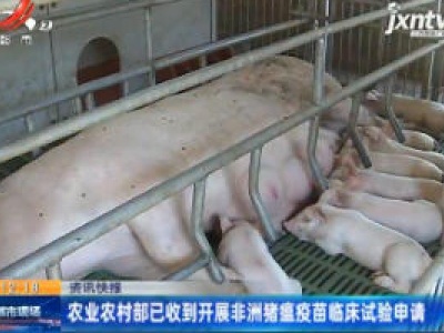 农业农村部已收到开展非洲猪瘟疫苗临床试验申请