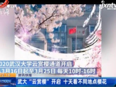 武大“云赏樱”开启 十天看不同地点樱花