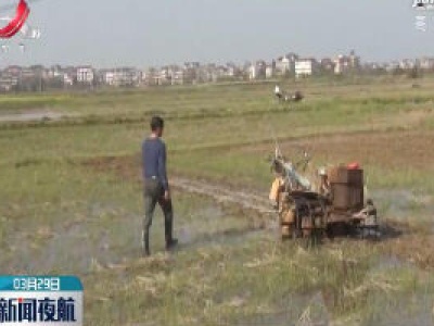 上饶鄱阳：引进全省首套全自动旱育秧先进生产线