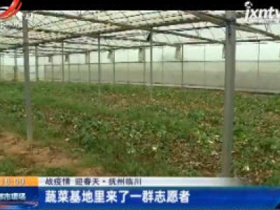 【战疫情 迎春天】抚州临川：蔬菜基地来了一群志愿者