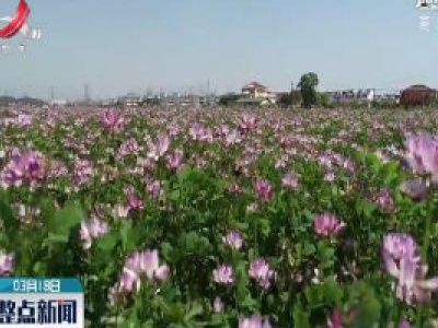 新余：春暖花开采蜜忙