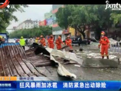 赣州定南：狂风暴雨加冰雹 消防紧急出动除险