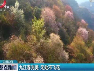 九江春光美 无处不飞花