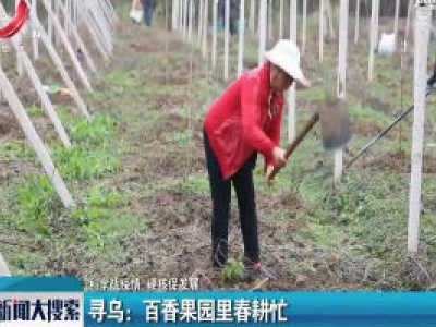【科学战疫情 硬核促发展】寻乌：百香果园里春耕忙