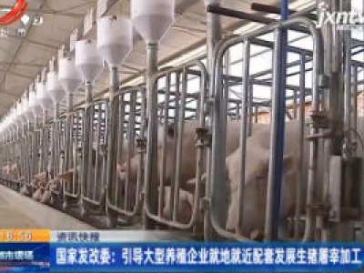 国家发改委：引导大型养殖企业就地就近配套发展生猪屠宰加工