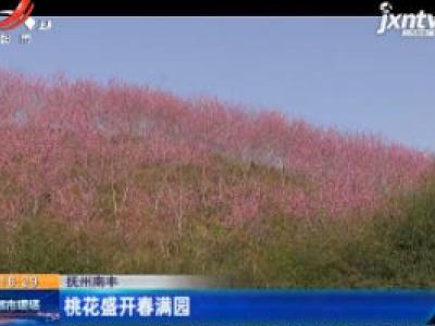抚州南丰：桃花盛开春满园